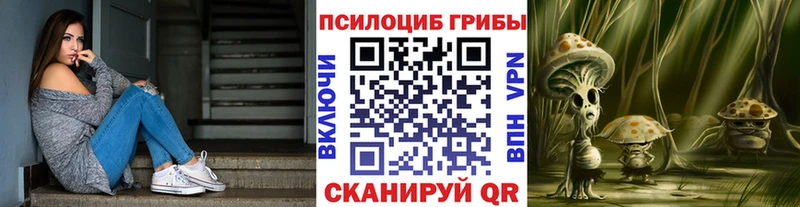 hydra ссылка  Черкесск  Псилоцибиновые грибы ЛСД 